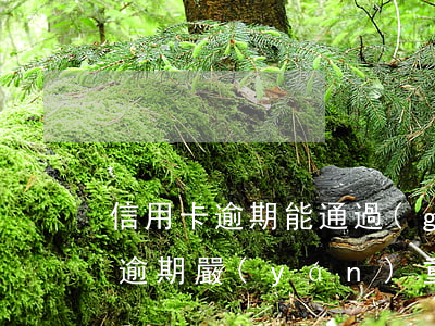 信用卡逾期能通過(guò)審核嗎(信用卡逾期嚴(yán)重會(huì)怎樣)