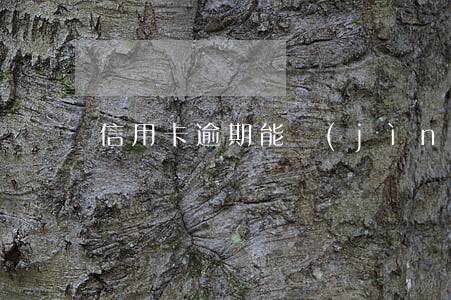 信用卡逾期能進(jìn)北京嗎