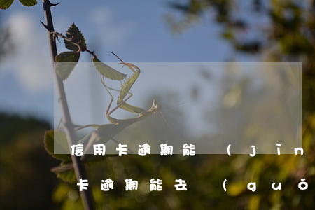 信用卡逾期能進(jìn)廠工作不能(信用卡逾期能去國(guó)企上班嗎)