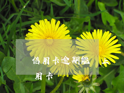 信用卡逾期能還上嗎(為什么有逾期還能辦信用卡)
