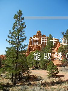 信用卡逾期能還不能取-信用卡逾期能還不能取錢(qián)