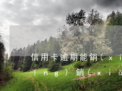 信用卡逾期能銷(xiāo)戶么(已經(jīng)銷(xiāo)戶的信用卡還能再開(kāi)通嗎)