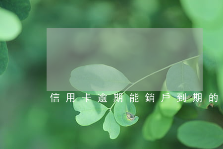 信用卡逾期能銷戶(到期的信用卡怎么注銷)