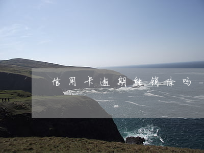 信用卡逾期能销除吗-信用卡逾期能销除吗