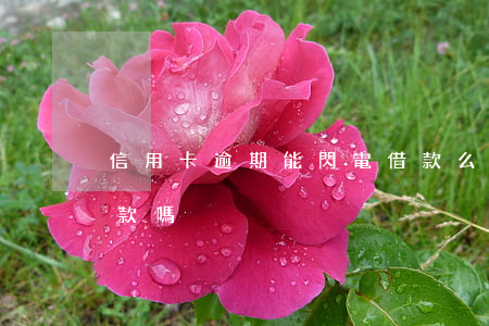 信用卡逾期能閃電借款么(信用卡逾期可以貸款嗎)