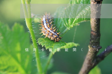 信用卡逾期能開(kāi)借記卡嗎