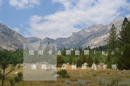 信用卡逾期能開(kāi)彩票店 欠信用卡逾期可以辦銀行卡嗎