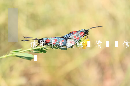 信用卡逾期能開借唄嗎 信用卡逾期能開借唄嗎