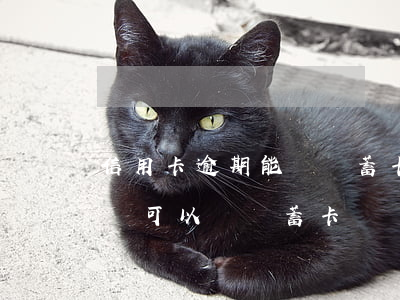 信用卡逾期能開儲蓄卡嗎(銀行信用卡逾期了還可以辦儲蓄卡嗎)