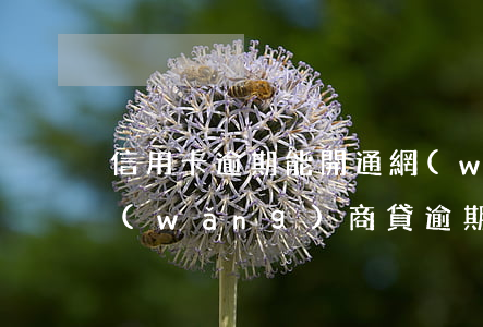 信用卡逾期能開通網(wǎng)商貸嗎(網(wǎng)商貸逾期了可以辦信用卡嗎)
