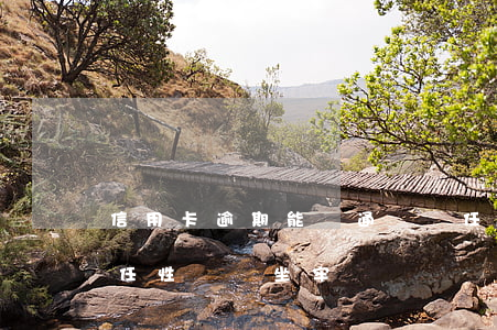 信用卡逾期能開通蘇寧任性付嗎-逾期蘇寧任性貸,會坐牢嗎