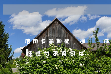 信用卡逾期能開通蘇寧任性付嗎(開通了蘇寧任性付,不用可以嗎?)