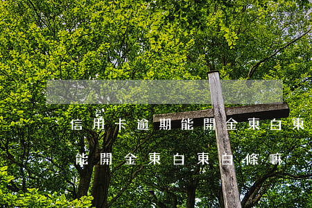信用卡逾期能開金東白東白條嘛（信用卡逾期能開金東白東白條嘛）