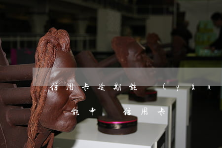 信用卡逾期能養(yǎng)回來嗎(逾期后還能申請信用卡嗎)