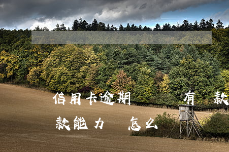 信用卡逾期臨時沒有還款能力(逾期了沒有還款能力該怎么辦)