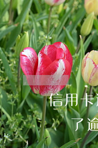 信用卡逾期臨時覆蓋 多使用信用卡會不會覆蓋了逾期記錄