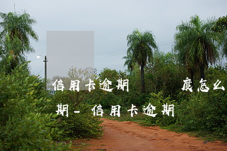 信用卡逾期臨時額度怎么協(xié)商分期-信用卡逾期臨時額度怎么協(xié)商分期還款