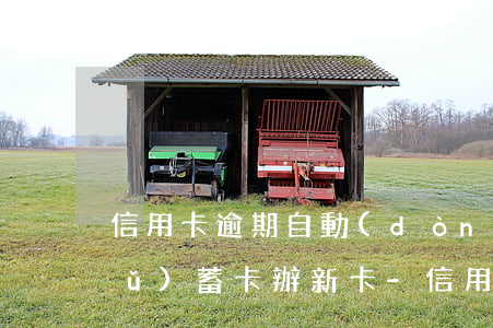 信用卡逾期自動(dòng)劃扣儲(chǔ)蓄卡辦新卡-信用卡逾期自動(dòng)劃扣儲(chǔ)蓄卡辦新卡可以嗎