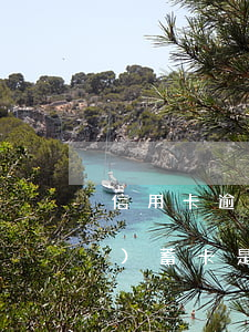信用卡逾期自動(dòng)扣儲(chǔ)蓄卡是否合理-信用卡逾期自動(dòng)扣儲(chǔ)蓄卡是否合理呢