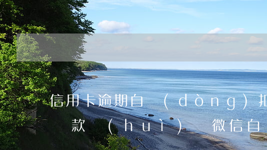 信用卡逾期自動(dòng)扣微信(信用卡還款會(huì)從微信自動(dòng)扣嗎)
