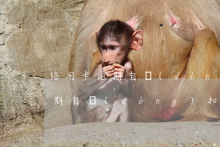 信用卡逾期 自動(dòng)扣款(信用卡逾期自動(dòng)扣款時(shí)間)