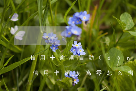 信用卡逾期自動(dòng)扣額度(逾期了信用卡額度為零怎么辦)