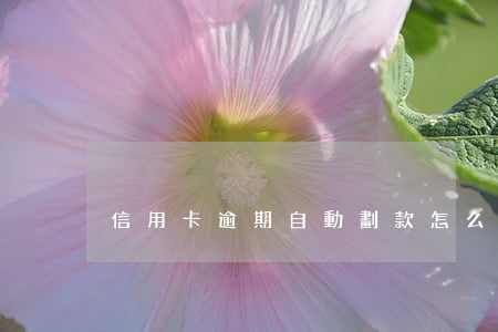 信用卡逾期自動劃款怎么取消