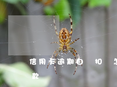 信用卡逾期自動扣錢怎么辦(欠信用卡自動扣款)