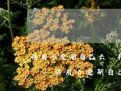 信用卡逾期自己去銀行協(xié)商還款嗎-信用卡逾期自己去銀行協(xié)商還款嗎可以嗎