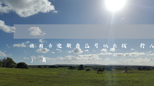 信用卡逾期自己可以去找銀行人協(xié)商嗎