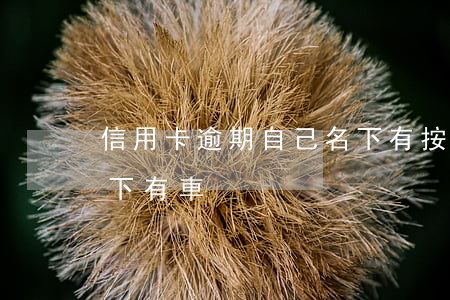 信用卡逾期自己名下有按揭車-貸款逾期名下有車
