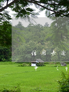 信用卡逾期自己怎么停息掛賬(欠信用卡可以申請(qǐng)停息掛賬嗎)