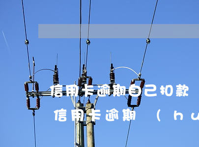 信用卡逾期自己扣款業(yè)務(wù)(信用卡逾期會(huì)扣本行其他儲(chǔ)蓄卡嗎)