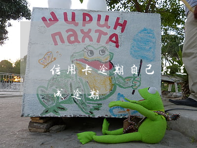 信用卡逾期自己知道嗎(朋友用自己信用卡造成逾期)