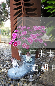 信用卡逾期自己能協(xié)商嗎(信用卡逾期自己能協(xié)商嗎)