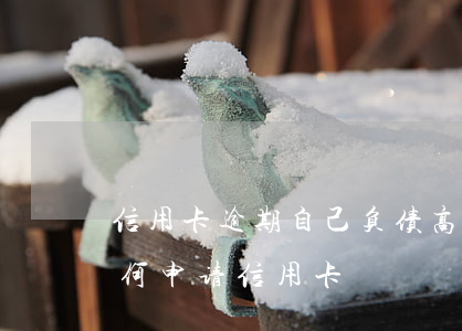 信用卡逾期自己负债高怎么办(负债率过高如何申请信用卡)