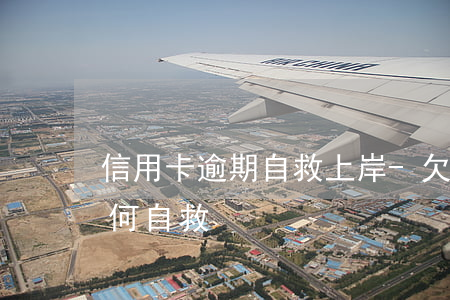 信用卡逾期自救上岸-欠信用卡30万该如何自救