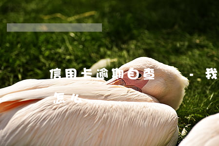 信用卡逾期自查問題-我信用卡有逾期記錄怎么辦