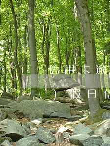 信用卡逾期自消費(fèi)日(節(jié)假日信用卡逾期)
