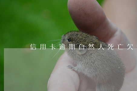 信用卡逾期自然人死亡(欠信用卡人死亡)
