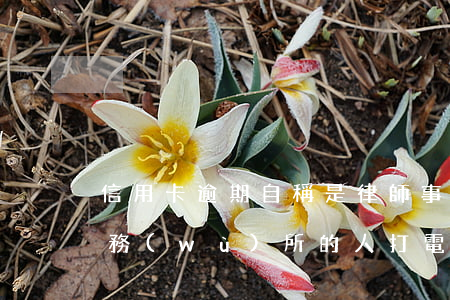 信用卡逾期自稱是律師事務(wù)(律師事務(wù)所的人打電話說信用卡逾期要起訴)
