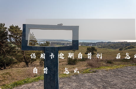 信用卡逾期自首刑滿后怎么還款-欠信用卡自首會怎么樣