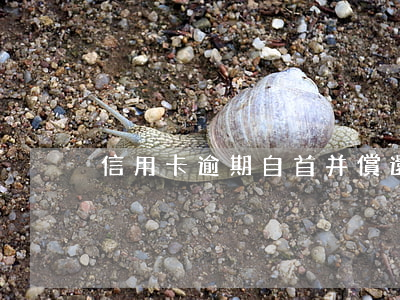 信用卡逾期自首并償還