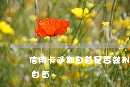 信用卡逾期自首是否就刑拘-欠信用卡可以自首嗎
