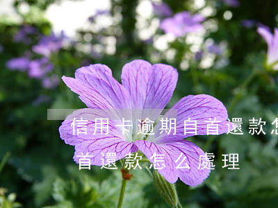 信用卡逾期自首還款怎么處理(信用卡逾期自首還款怎么處理)