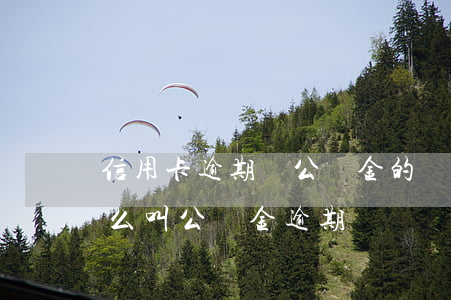 信用卡逾期與公積金的關(guān)系(什么叫公積金逾期)