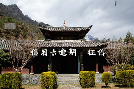 信用卡逾期與征信