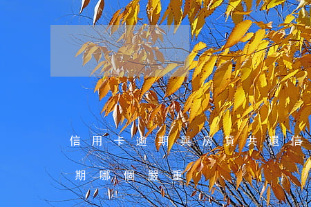 信用卡逾期與房貸共還(信用卡逾期和房貸逾期哪個嚴重)