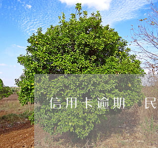 信用卡逾期與民法典581(民法典欠信用卡)