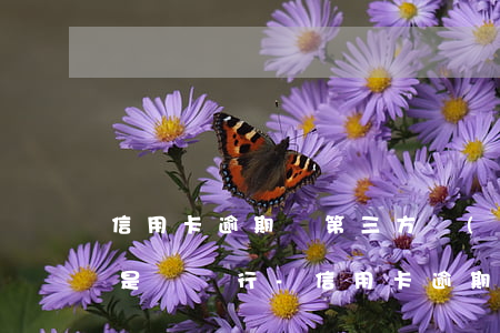 信用卡逾期與第三方協(xié)商減免還是與銀行-信用卡逾期與第三方協(xié)商減免還是與銀行減免好